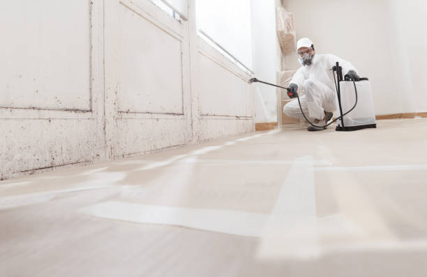 24/7 Emergency Mold Cleanup experts in Harleysville, PA